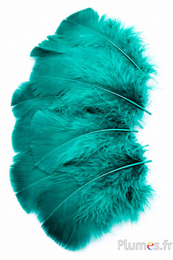 Kalkoen - 6-8 cm - jade